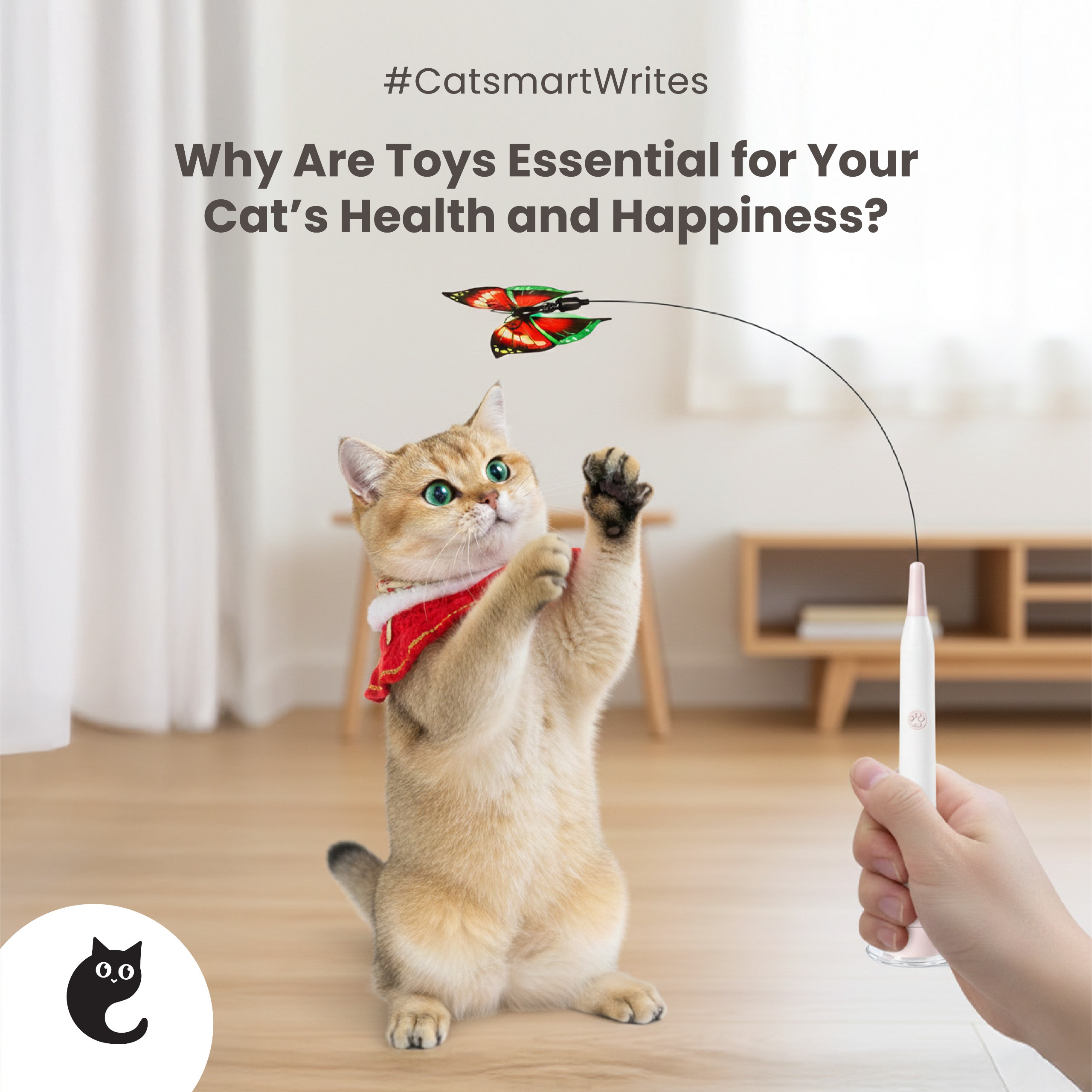 Why Are Toys Essential for Your Cat’s Health and Happiness?